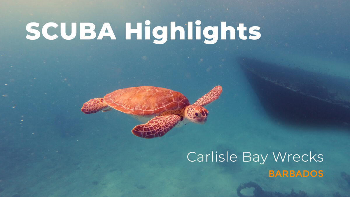 SCUBA Highlights – Carlisle Bay Wreck Dive (Bridgetown, Barbados)